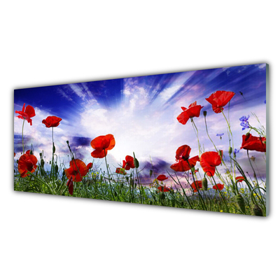 Glasbild aus Plexiglas® Mohnblumen Natur