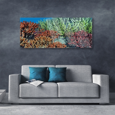 Glasbild aus Plexiglas® Korallenriff Natur