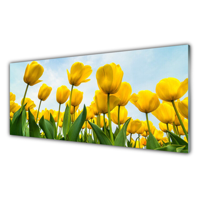 Glasbild aus Plexiglas® Tulpen Pflanzen