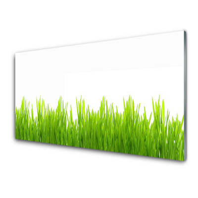 Glasbild aus Plexiglas® Gras Natur