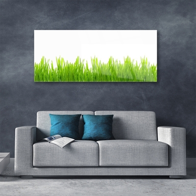 Glasbild aus Plexiglas® Gras Natur