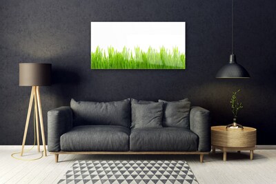 Glasbild aus Plexiglas® Gras Natur