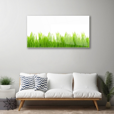 Glasbild aus Plexiglas® Gras Natur