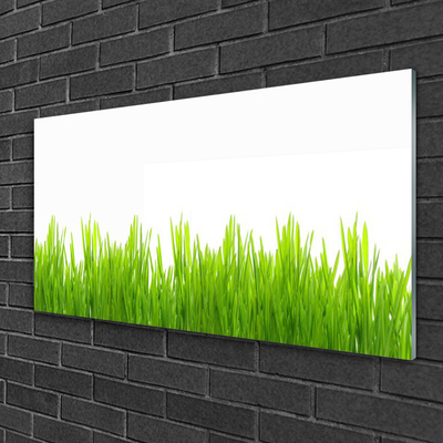 Glasbild aus Plexiglas® Gras Natur