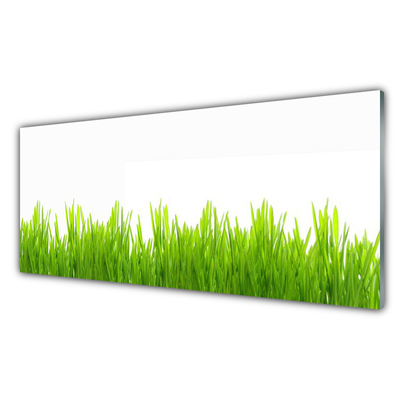 Glasbild aus Plexiglas® Gras Natur