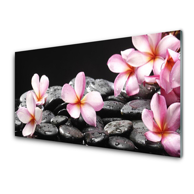 Glasbild aus Plexiglas® Blumen Steine Pflanzen