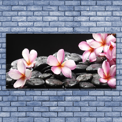 Glasbild aus Plexiglas® Blumen Steine Pflanzen