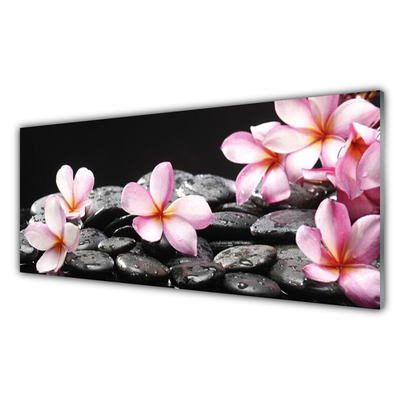 Glasbild aus Plexiglas® Blumen Steine Pflanzen