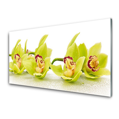 Glasbild aus Plexiglas® Blumen Pflanzen