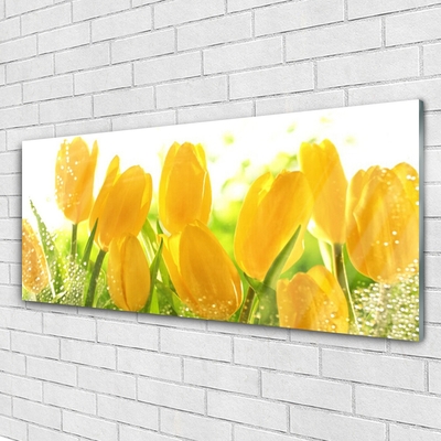 Glasbild aus Plexiglas® Tulpen Pflanzen