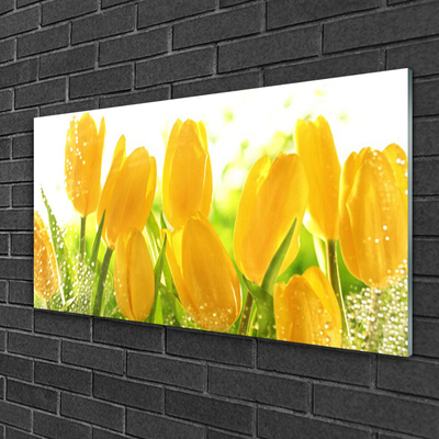 Glasbild aus Plexiglas® Tulpen Pflanzen