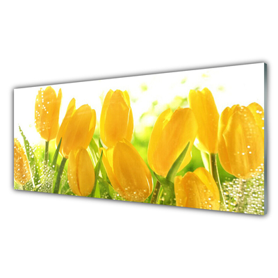 Glasbild aus Plexiglas® Tulpen Pflanzen