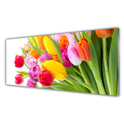 Glasbild aus Plexiglas® Tulpen Pflanzen