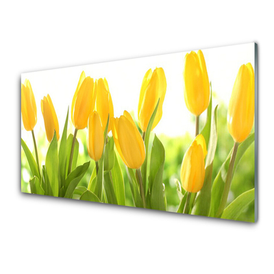 Glasbild aus Plexiglas® Tulpen Pflanzen