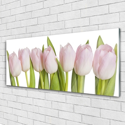 Glasbild aus Plexiglas® Tulpen Pflanzen