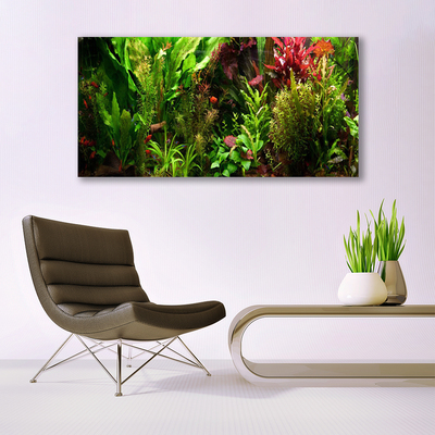 Glasbild aus Plexiglas® Blattpflanzen Natur