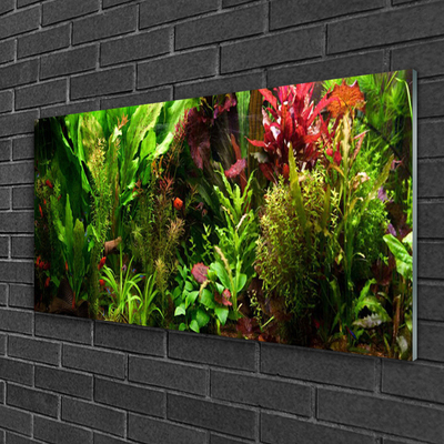 Glasbild aus Plexiglas® Blattpflanzen Natur