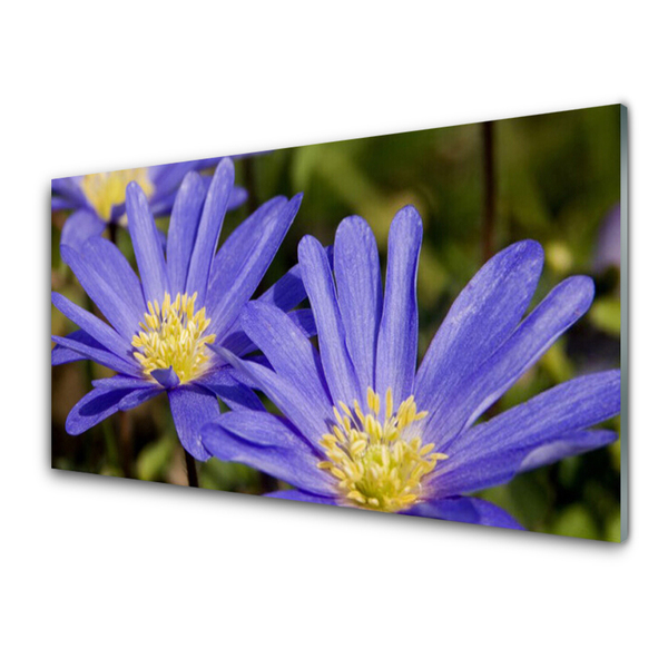 Glasbild aus Plexiglas® Blumen Pflanzen