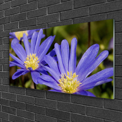 Glasbild aus Plexiglas® Blumen Pflanzen