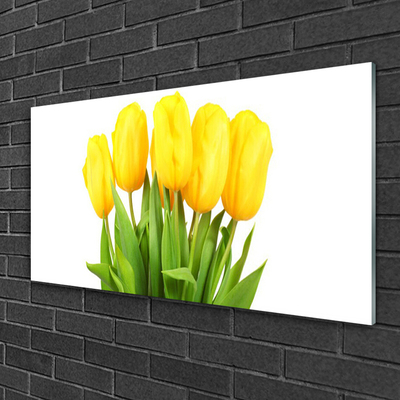 Glasbild aus Plexiglas® Tulpen Pflanzen