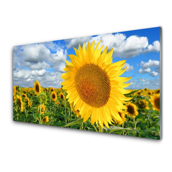 Glasbild aus Plexiglas® Sonnenblumen Pflanzen