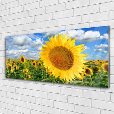 Glasbild aus Plexiglas® Sonnenblumen Pflanzen