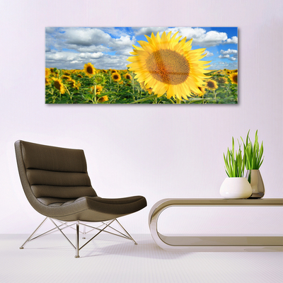 Glasbild aus Plexiglas® Sonnenblumen Pflanzen