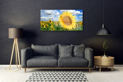 Glasbild aus Plexiglas® Sonnenblumen Pflanzen