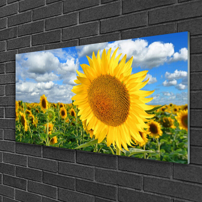 Glasbild aus Plexiglas® Sonnenblumen Pflanzen