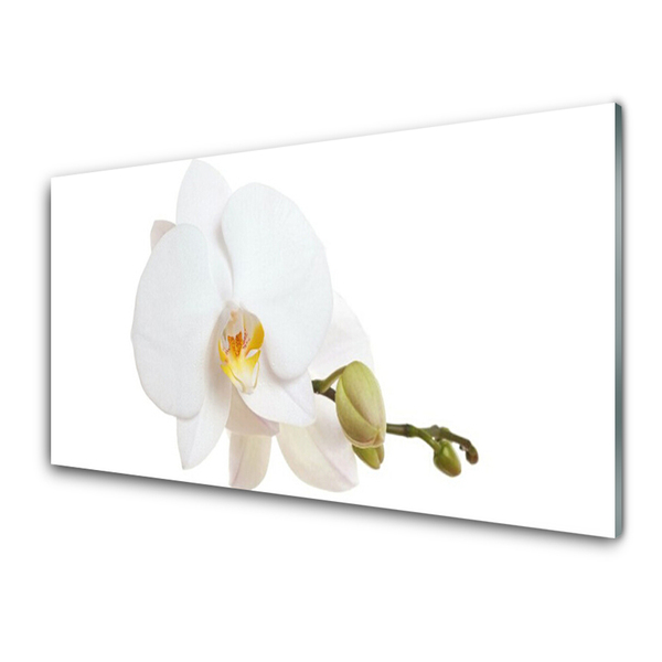 Glasbild aus Plexiglas® Blume Pflanzen