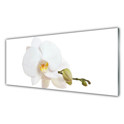 Glasbild aus Plexiglas® Blume Pflanzen