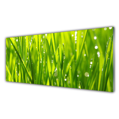 Glasbild aus Plexiglas® Gras Natur