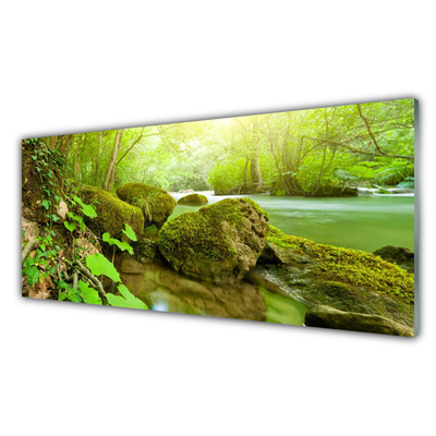 Glasbild aus Plexiglas® See Steine Natur