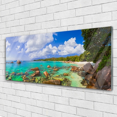 Glasbild aus Plexiglas® Meer Steine Bäume Landschaft