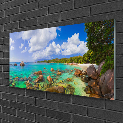 Glasbild aus Plexiglas® Meer Steine Bäume Landschaft