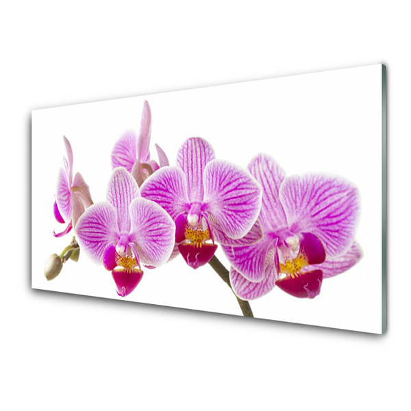 Glasbild aus Plexiglas® Blumen Pflanzen