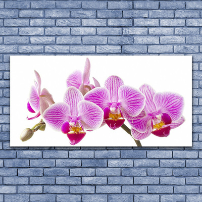 Glasbild aus Plexiglas® Blumen Pflanzen