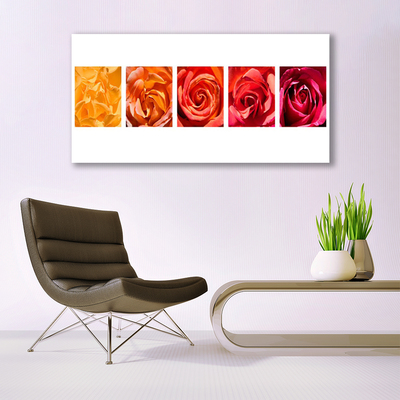 Glasbild aus Plexiglas® Rosen Pflanzen