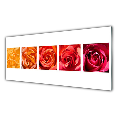 Glasbild aus Plexiglas® Rosen Pflanzen