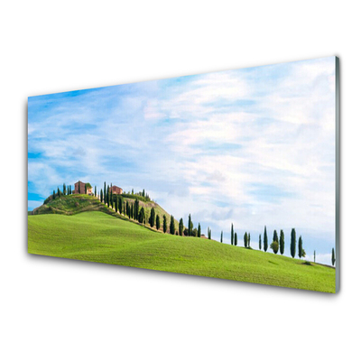 Glasbild aus Plexiglas® Wiese Bäume Landschaft