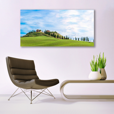 Glasbild aus Plexiglas® Wiese Bäume Landschaft