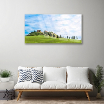 Glasbild aus Plexiglas® Wiese Bäume Landschaft