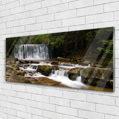 Glasbild aus Plexiglas® Wasserfall Wald Natur