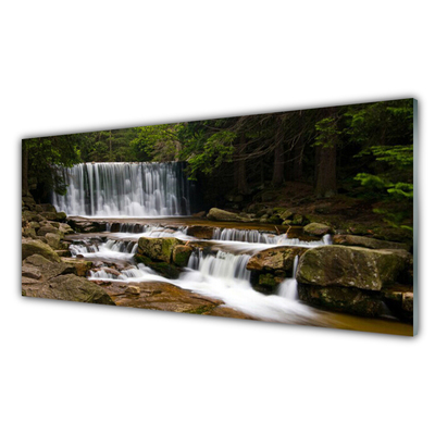 Glasbild aus Plexiglas® Wasserfall Wald Natur