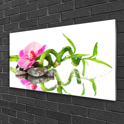 Glasbild aus Plexiglas® Bambusrohr Blume Steine Kunst