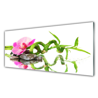 Glasbild aus Plexiglas® Bambusrohr Blume Steine Kunst