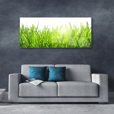 Glasbild aus Plexiglas® Gras Natur