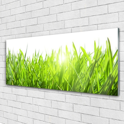 Glasbild aus Plexiglas® Gras Natur