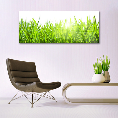 Glasbild aus Plexiglas® Gras Natur