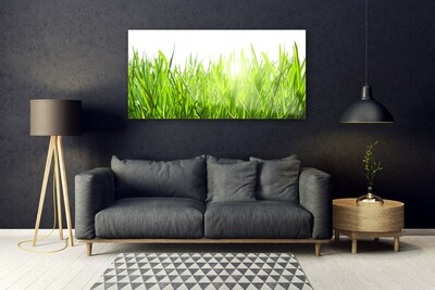 Glasbild aus Plexiglas® Gras Natur